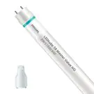 Philips LED Röhre T8 MASTER Value (EM/Mains) High Output 8W 1050lm - 840 Kaltweiß | 60cm - Ersatz für 18W